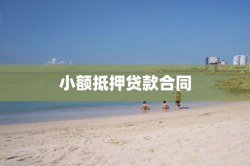 小额抵押贷款合同