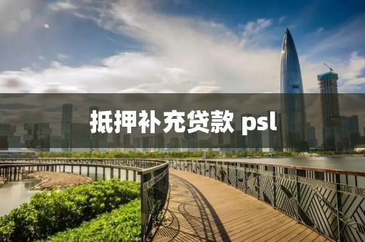 抵押补充贷款 psl