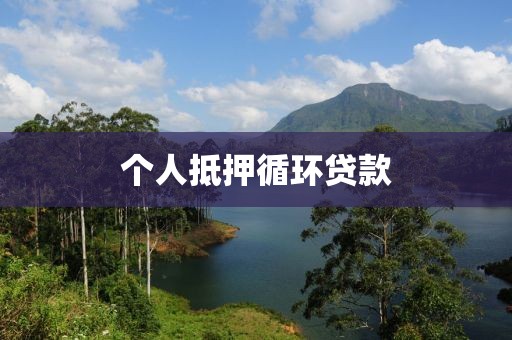 个人抵押循环贷款