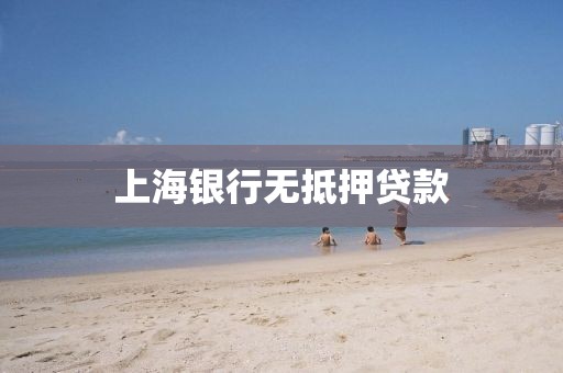 上海银行无抵押贷款