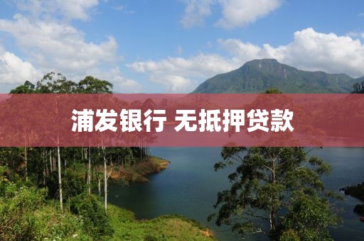 浦发银行 无抵押贷款