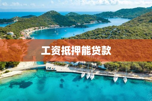 工资抵押能贷款