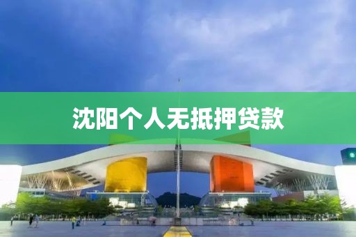 沈阳个人无抵押贷款