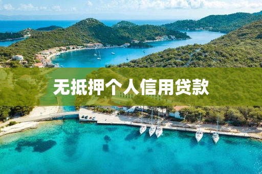 无抵押个人信用贷款