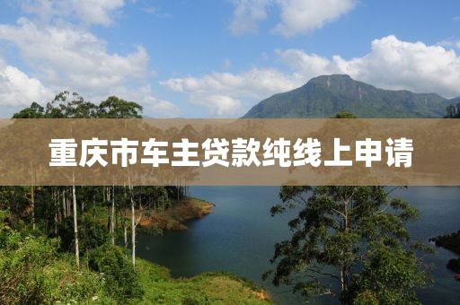 重庆市车主贷款纯线上申请