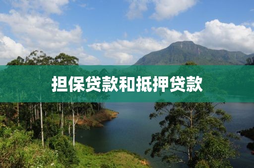 担保贷款和抵押贷款