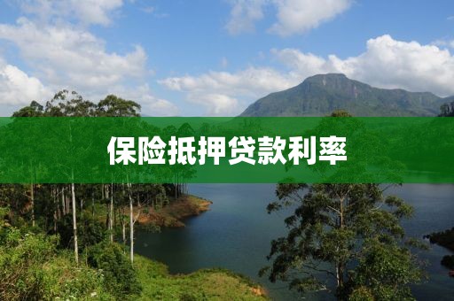 保险抵押贷款利率