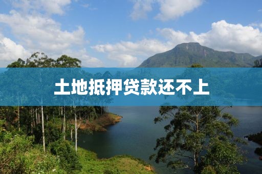 土地抵押贷款还不上