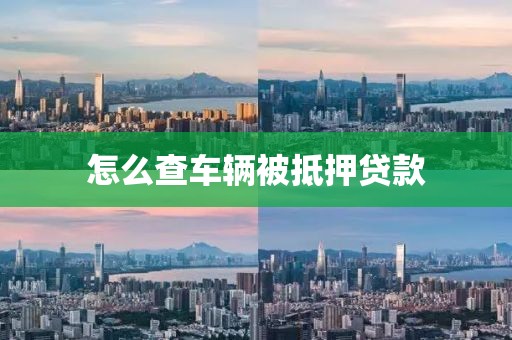 怎么查车辆被抵押贷款