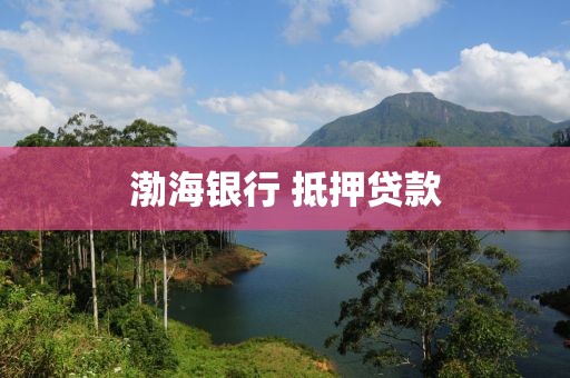 渤海银行 抵押贷款