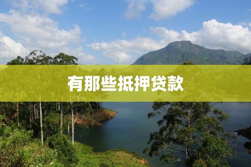 有那些抵押贷款