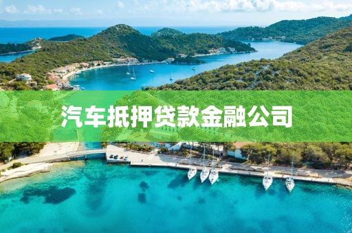 汽车抵押贷款金融公司