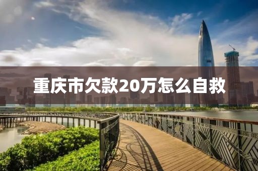 重庆市欠款20万怎么自救
