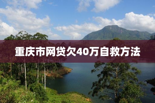 重庆市网贷欠40万自救方法