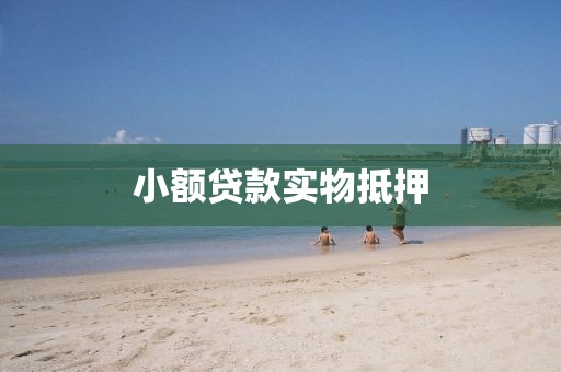 小额贷款实物抵押