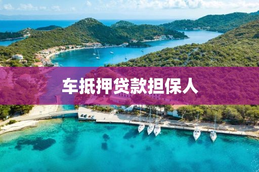 车抵押贷款担保人