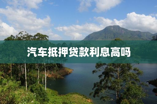 汽车抵押贷款利息高吗