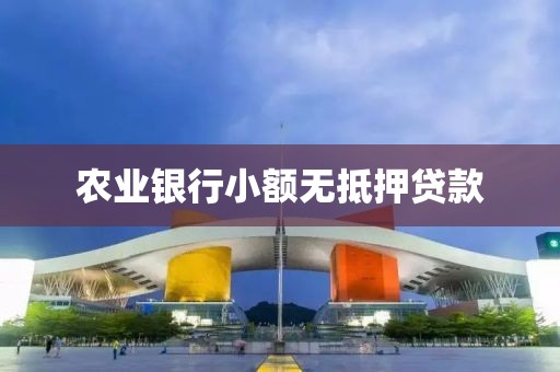 农业银行小额无抵押贷款