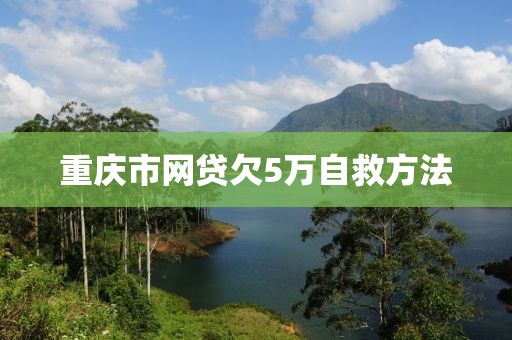 重庆市网贷欠5万自救方法