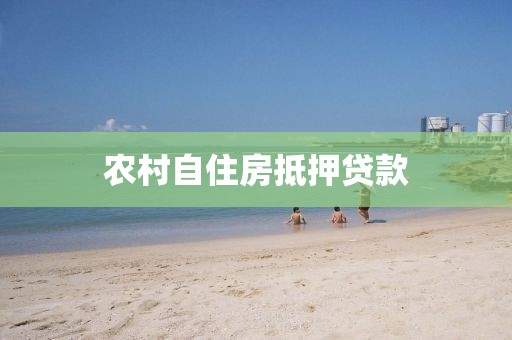 农村自住房抵押贷款
