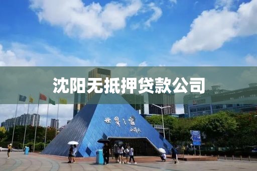 沈阳无抵押贷款公司