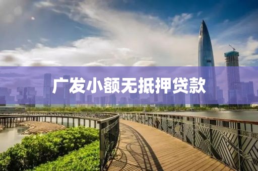 广发小额无抵押贷款