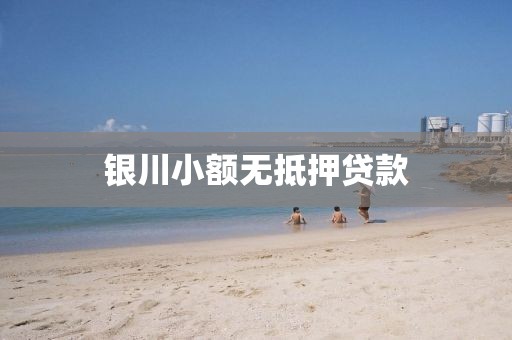银川小额无抵押贷款