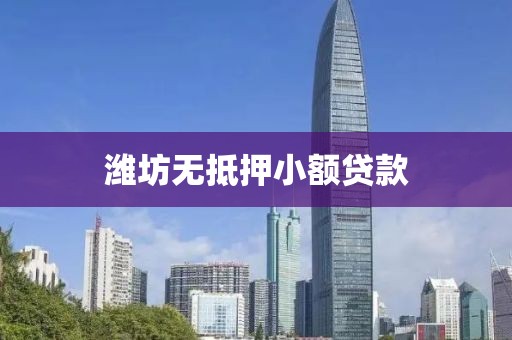 潍坊无抵押小额贷款