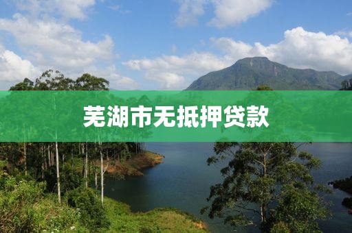 芜湖市无抵押贷款