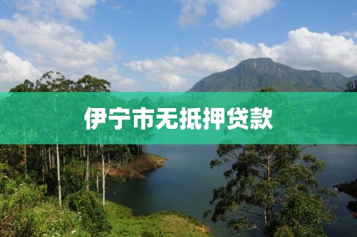 伊宁市无抵押贷款