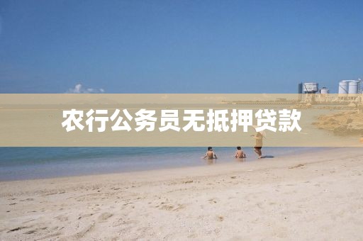 农行公务员无抵押贷款