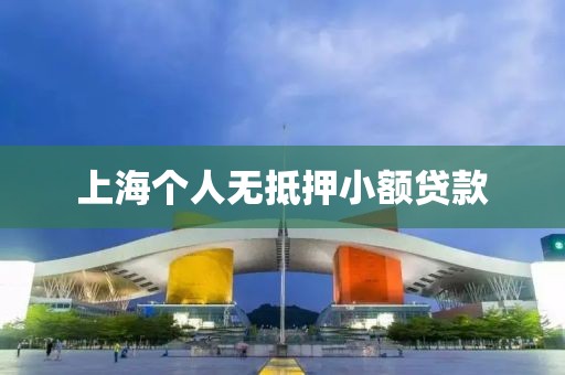 上海个人无抵押小额贷款