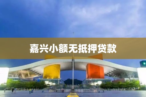 嘉兴小额无抵押贷款