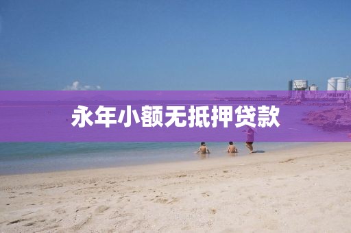 永年小额无抵押贷款