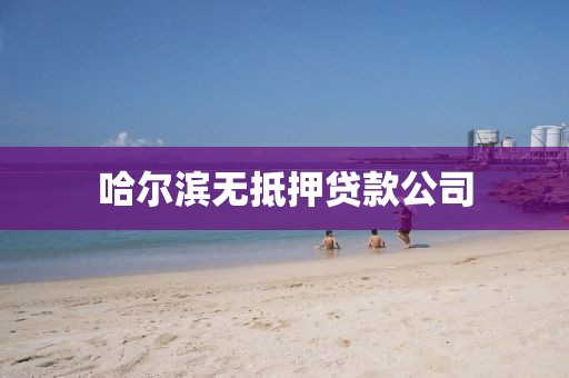 哈尔滨无抵押贷款公司
