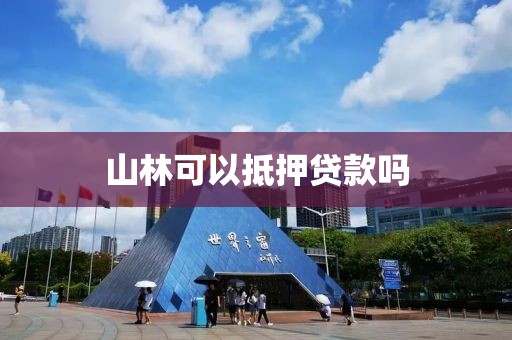 山林可以抵押贷款吗