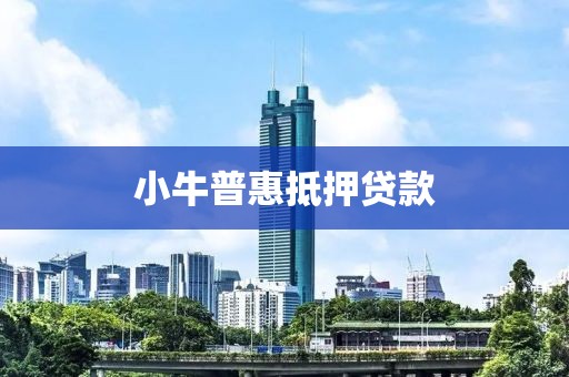 小牛普惠抵押贷款