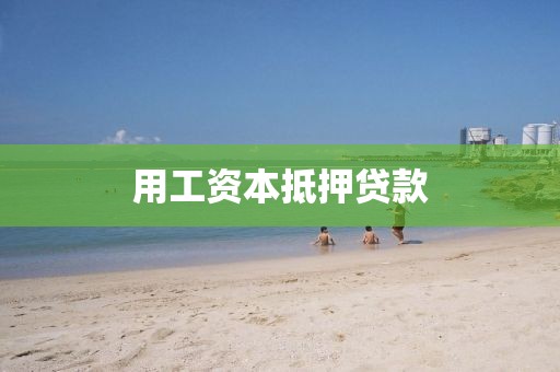 用工资本抵押贷款