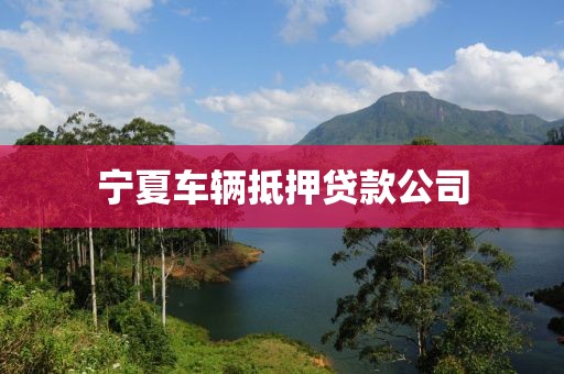 宁夏车辆抵押贷款公司