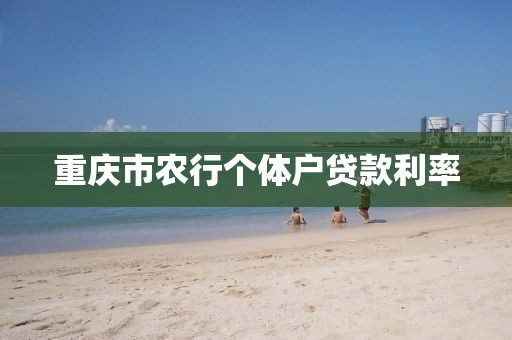 重庆市农行个体户贷款利率