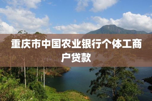 重庆市中国农业银行个体工商户贷款