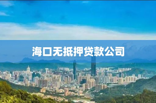 海口无抵押贷款公司