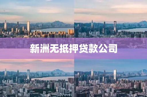 新洲无抵押贷款公司