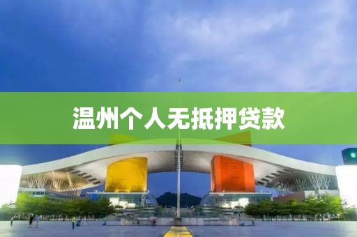 温州个人无抵押贷款