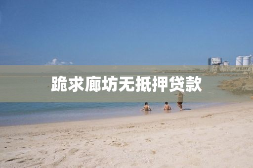 跪求廊坊无抵押贷款