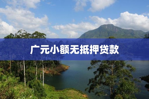 广元小额无抵押贷款