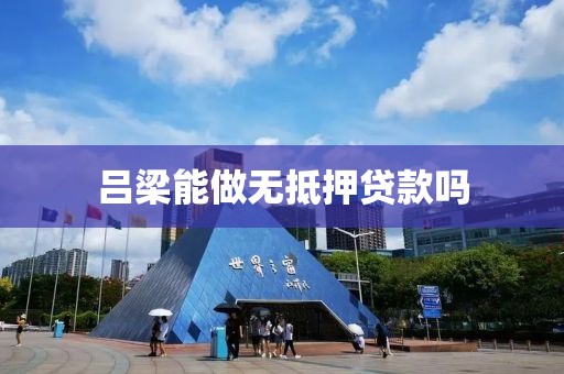 吕梁能做无抵押贷款吗