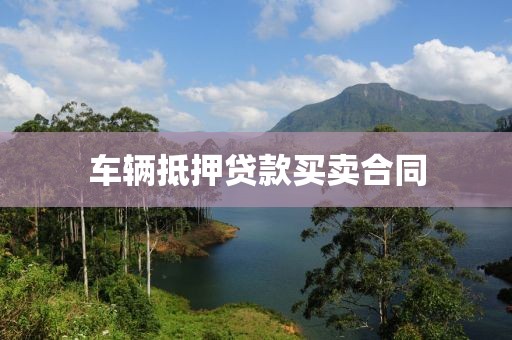 车辆抵押贷款买卖合同