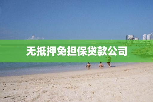 无抵押免担保贷款公司