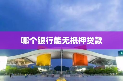 哪个银行能无抵押贷款